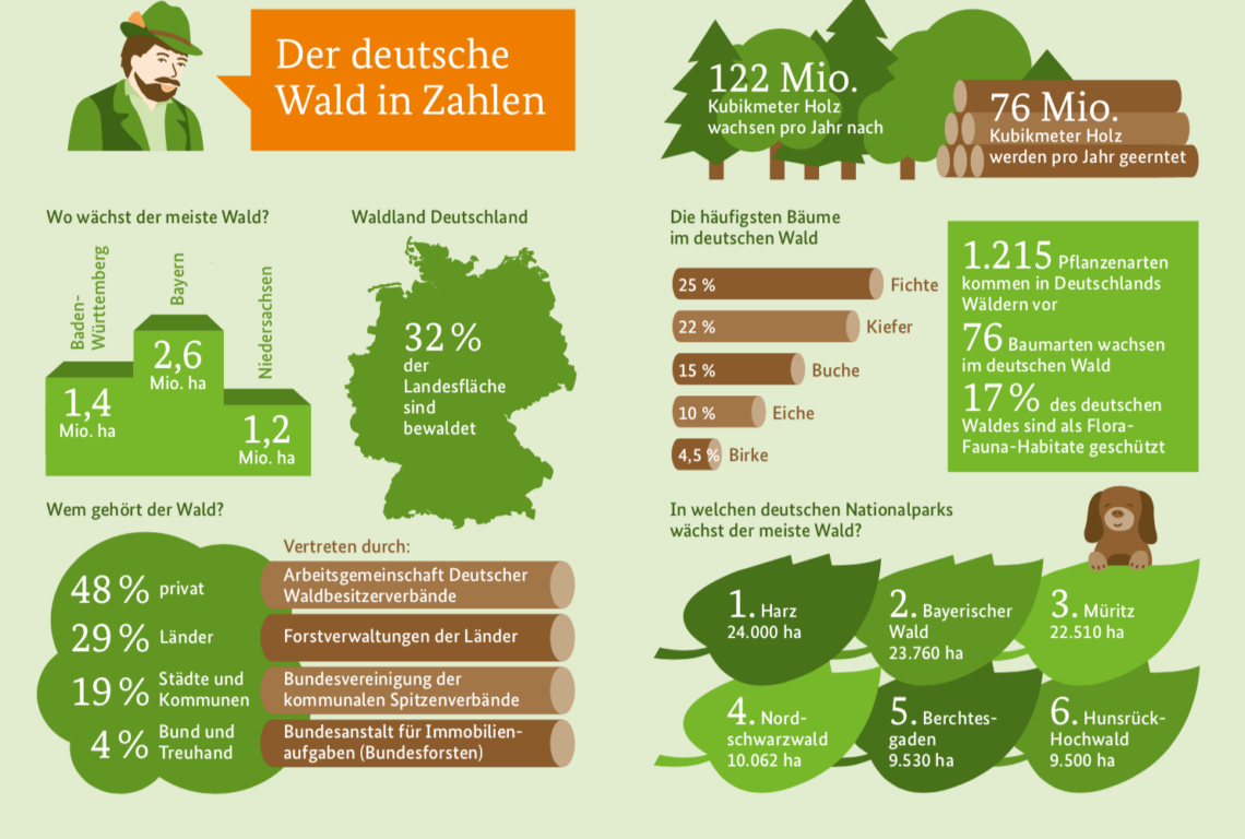 Modul 1 Der bunte Wald